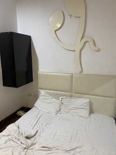 842F0476-D0E2-4B18-821E-97BF043E00CE.jpeg