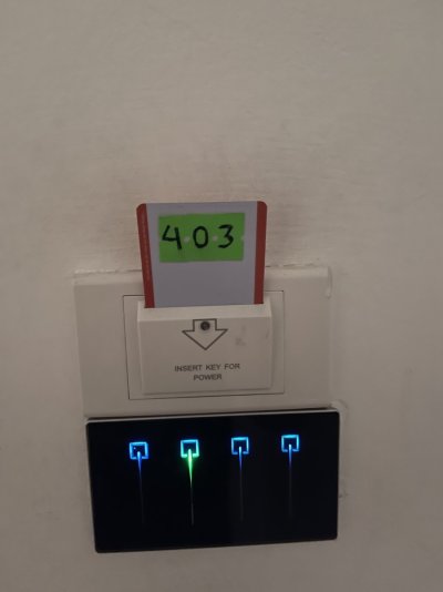 IMG_6293.jpeg