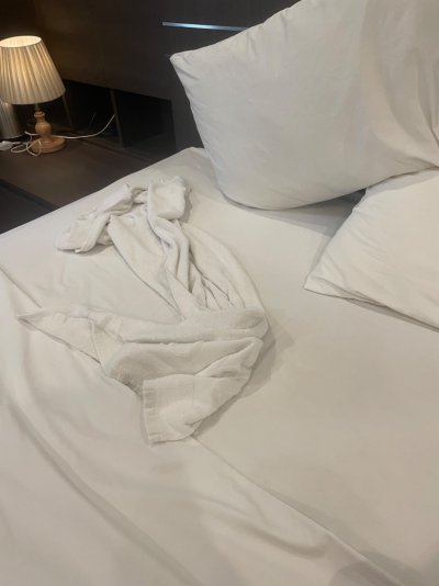 IMG_2862.jpeg