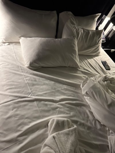 IMG_7400.jpeg