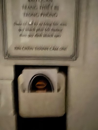 IMG_7401.jpeg