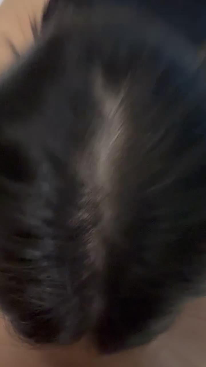 1IK75ABKK_4JRCQ3.mov