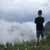 Mrcosex