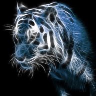 DarkTTiger