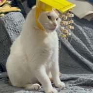 Cam Tu Cau