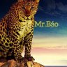 Mr Báo